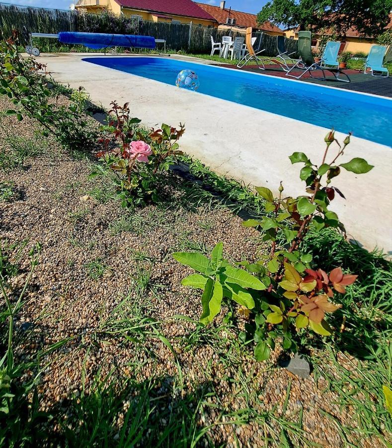 Csodarét Kúria Mórahalom Extérieur photo
